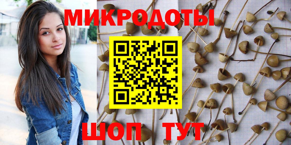 Галлюциногенные грибы мицелий  даркнет сайт  Ишим  Вход с VPN 